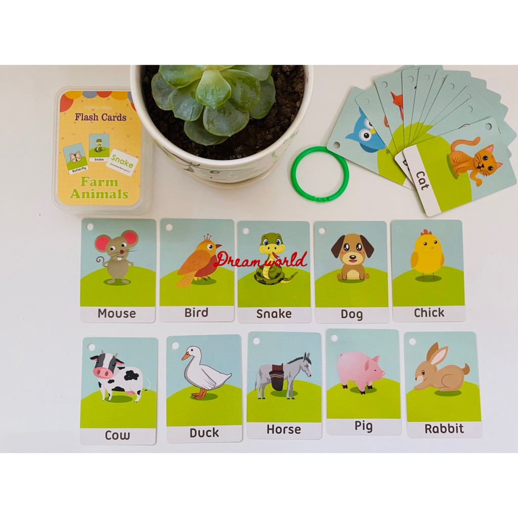 Thẻ Học Thông Minh Cho Bé FlashCard Học Tiếng Anh Với Nhiều Chủ Đề - 1 Hộp 1 chủ đề Dreamworld