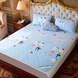 Chiếu điều hoà tencel loại 1 (1m6*2m)