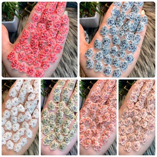 Hoa Ẩn Hồng 3D, Hoa Bột Gắn Móng Phụ Kiện Làm Nail Không Thể Thiếu