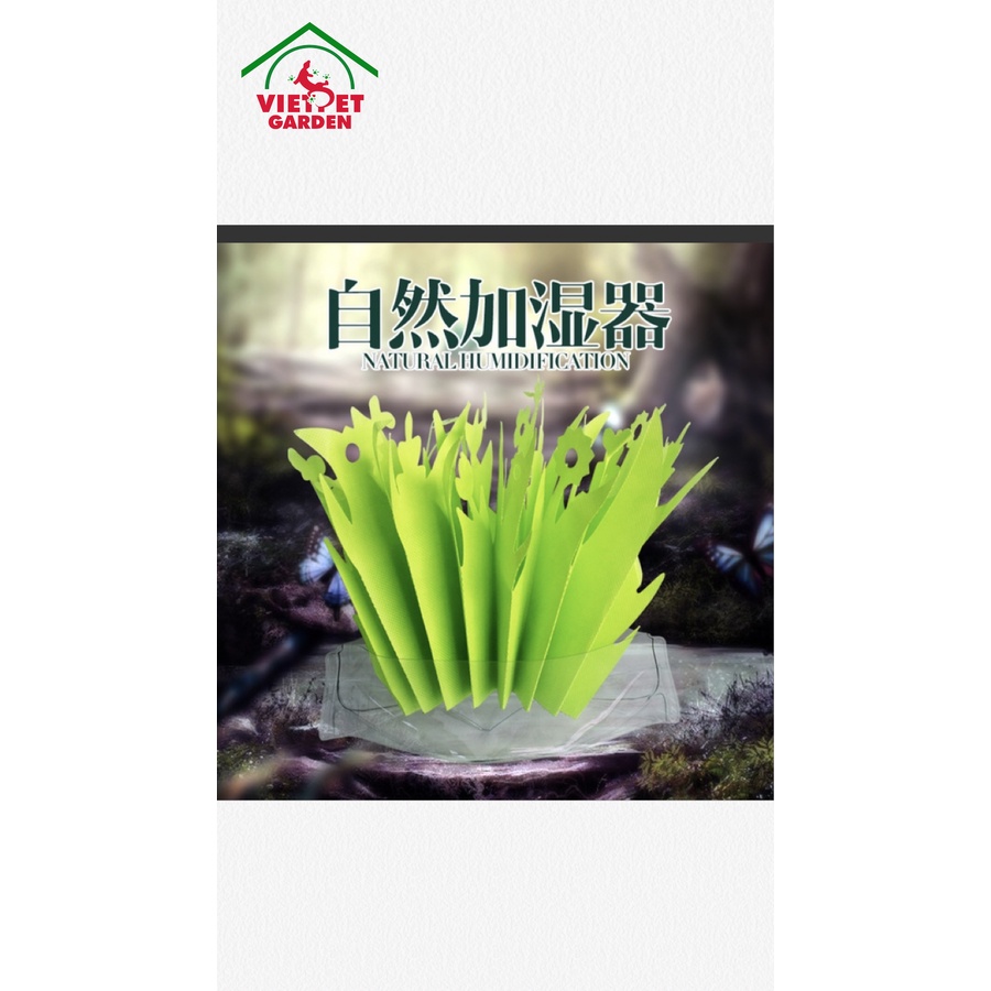Cỏ tạo ẩm dành cho bò sát Nomoy | Tăng độ ẩm trong không khí tạo cảm giác tự nhiên | Vietpetgarden