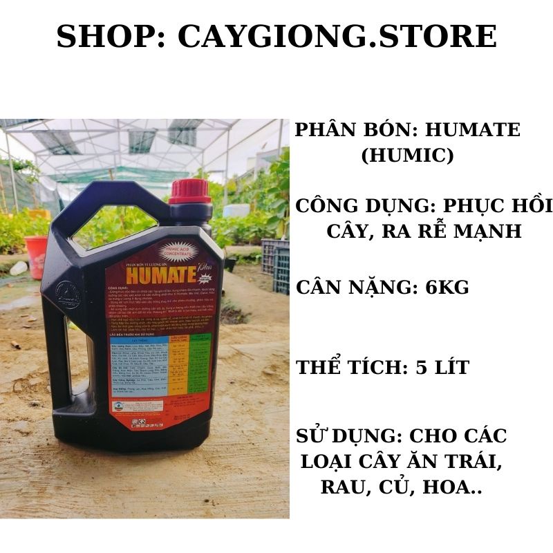 Phân bón Humic Humate vi lượng hữu cơ phục hồi cây ra rễ mạnh PB10