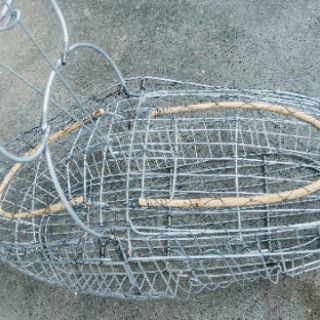 Lồng bẫy chim khuyên