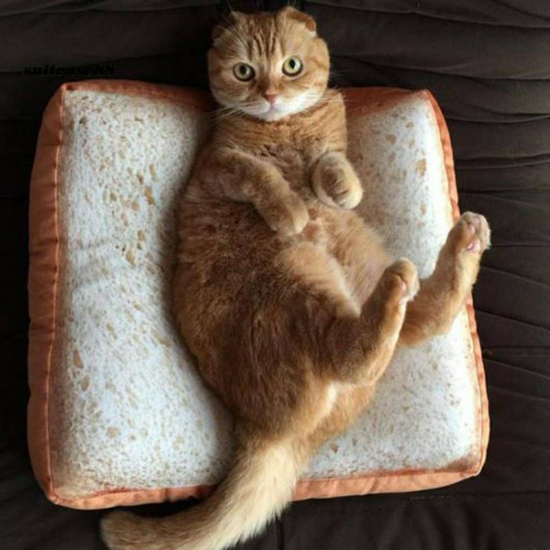 ổ nệm hình bánh mì cho chó mèo có khóa kéo (màu ngẫu nhiên)