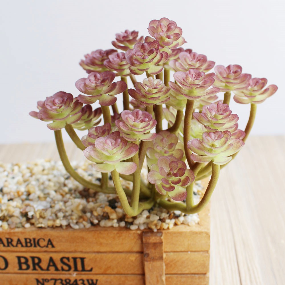 Xương rồng Sen Đá nhựa PVC ms 21