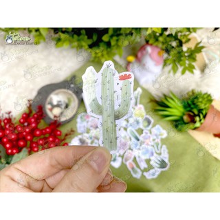 Hộp sticker Watercolor Cactus