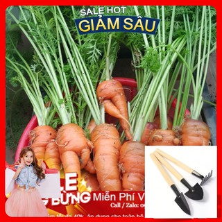 Hạt Giống Cà Rốt F1 -100 Hạt / Gói - Tặng Kèm Bộ Dụng Cụ Trồng Cây Mini