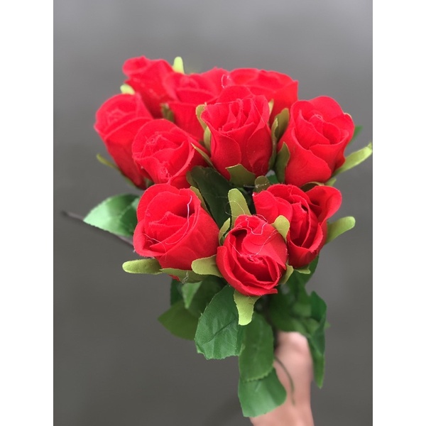 COMBO 10 bông Hồng Nhung -1 bó Đẹp +rẻ