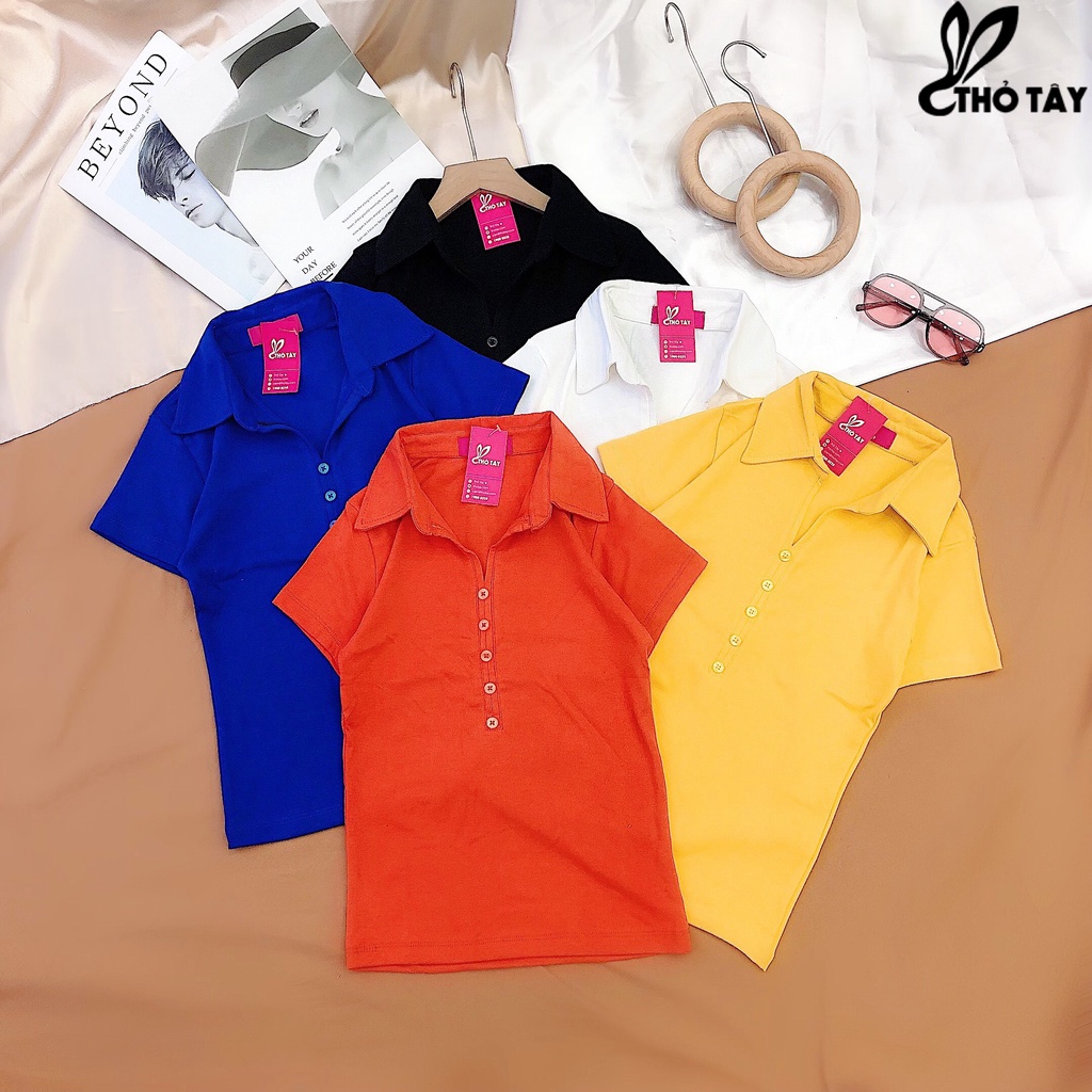 Áo thun nữ trơn cổ bẻ nhiều màu THỎ TÂY AT220C70