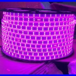 3m Led dây đôi 2835 - 2 hàng siêu sáng