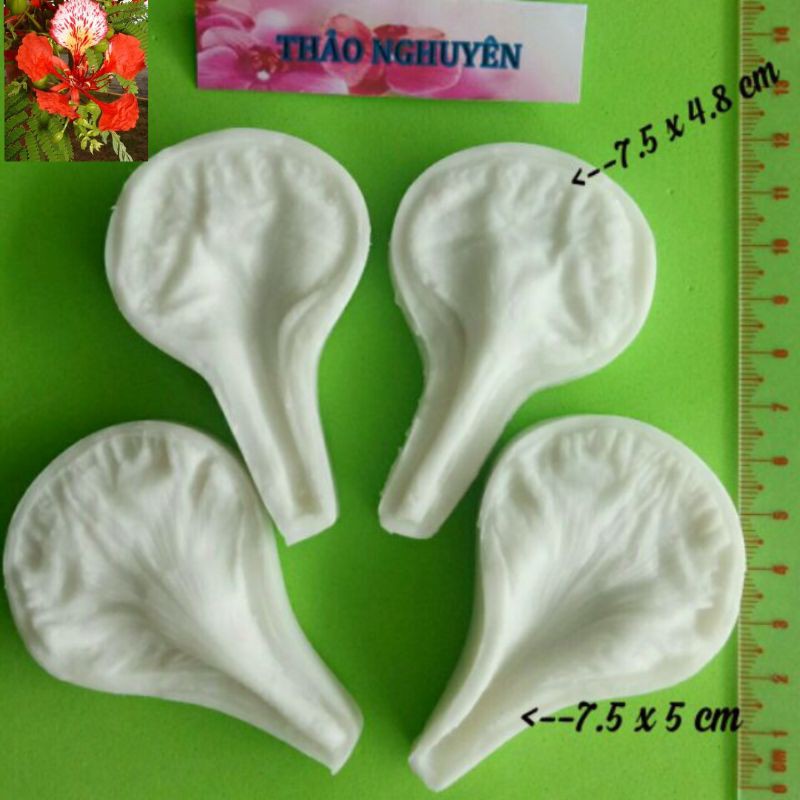 Gân silicon hoa phượng ( được lấy từ hoa thật)