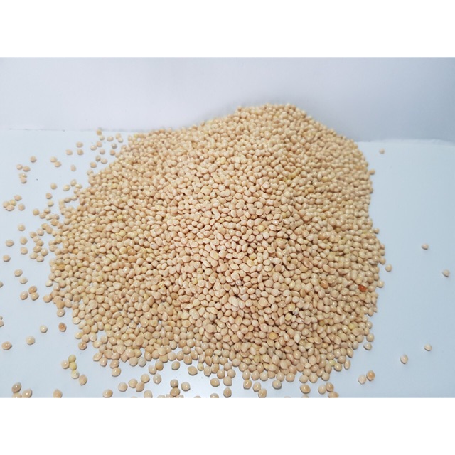 Hạt kê trắng cho chim ăn túi 1kg