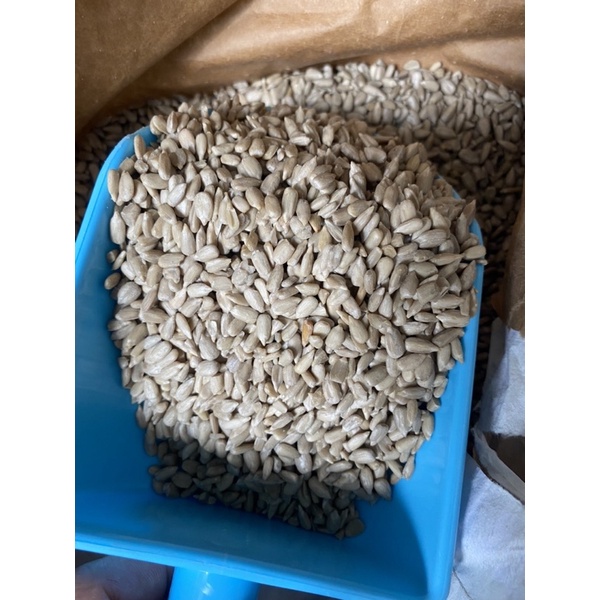 Nhân Hạt Hướng Dương dành cho thú cưng, gà đá, chim cảnh - Pet Food Store.