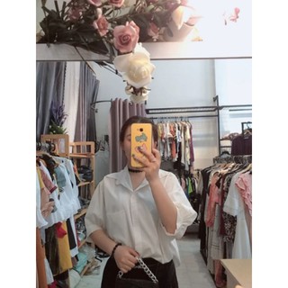 SƠMI TRẮNG SI TUYỂN