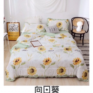 Trọn bộ chăn ga gối đũi bèo nhập hàng mới 2019