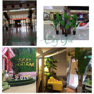 Cây Giả - Bụi Cây Chuối Cảnh 3 Cây