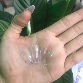 Móng Úp Phom Bầu HSM hộp 500 móng