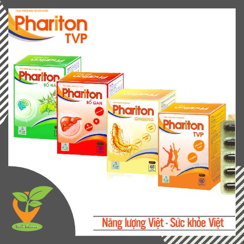 PHARITON TVP - Bổ não - Nhân sâm - Bổ gan [Pharciton, Pharmaton]