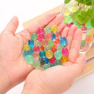 Hạt nở Nhật Bản (gói 100g)