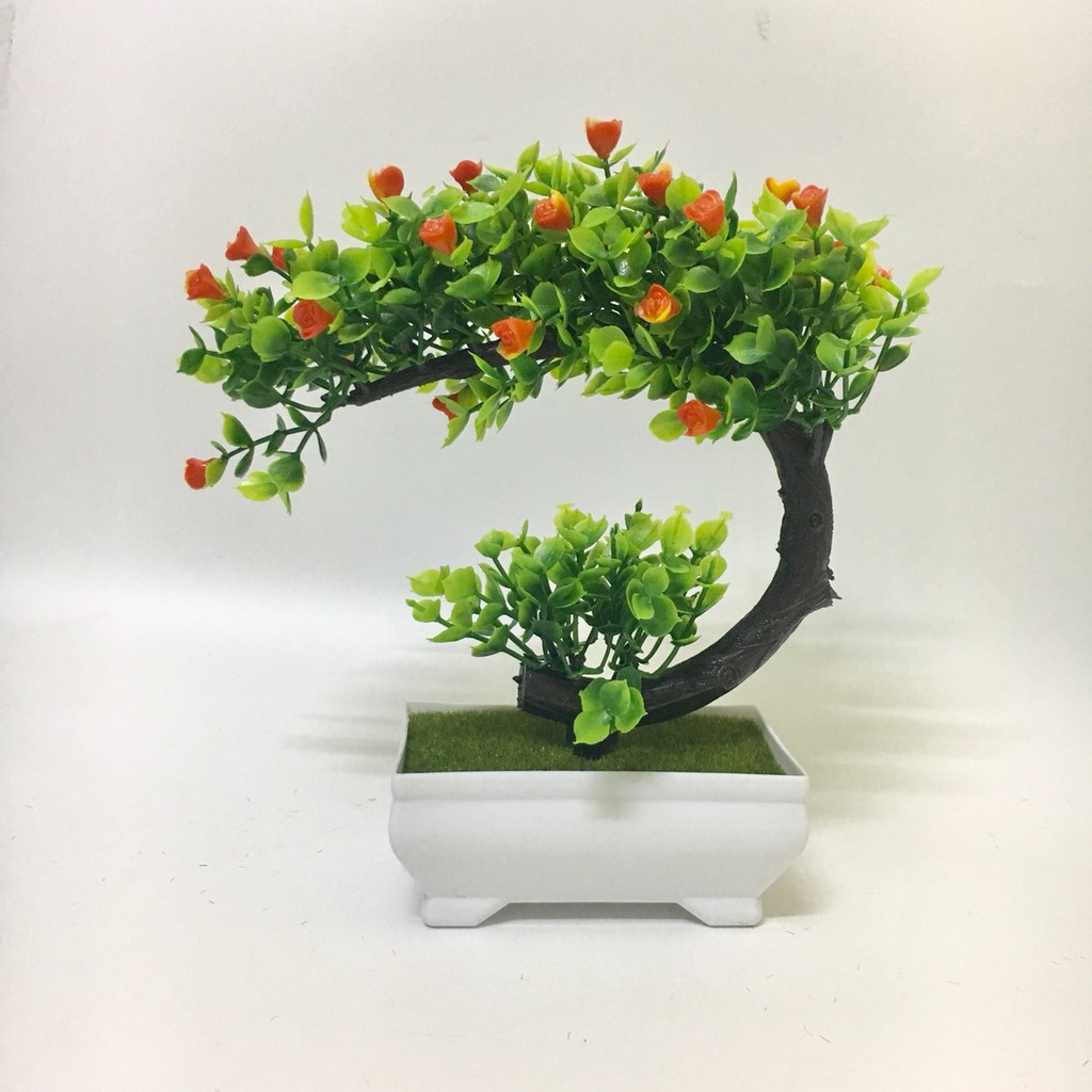 Cây bonsai phú quý tài lộc - Cây bon sai giả để bàn trang trí  Để nội thất, phòng làm việc ( kèm chậu nhựa)