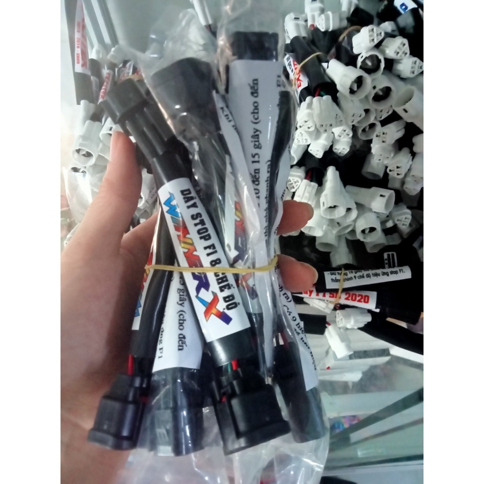 Mạch f1 nháy đèn hậu lắp xe winer X