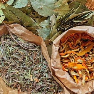 Thảo Mộc Xông Nhà