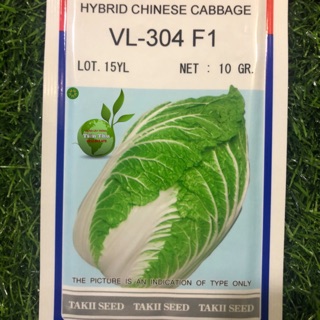 HẠT GIỐNG CẢI THẢO VL-304 F1 (1gói)