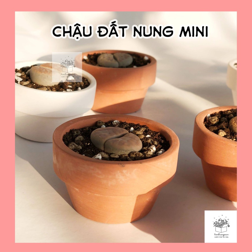 Chậu đất nung giá rẻ trồng Sen đá Xương rồng - Size 4x6 cm - Cây cảnh - Tiệm Thường Xuân