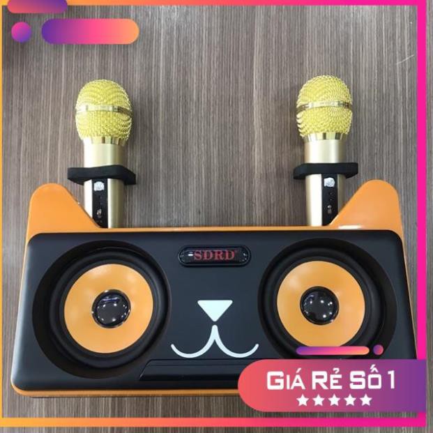 [SALE 10%] Loa karaoke bluetooth SDRD SD-305 20W có bluetooth tặng kèm mic
