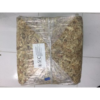 Dớn Chi Lê gói 100gr hoặc 500GR