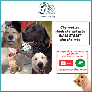 Cây mát xa đầu massage chó mèo - YCHOMEO