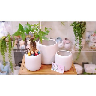 Chậu sứ trồng cây mẫu cao cúp miệng