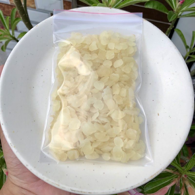 Bồ mễ hạt tuyết liên tử, đẹp da, thanh nhiệt. Nguyên liệu nấu chè dưỡng nhan