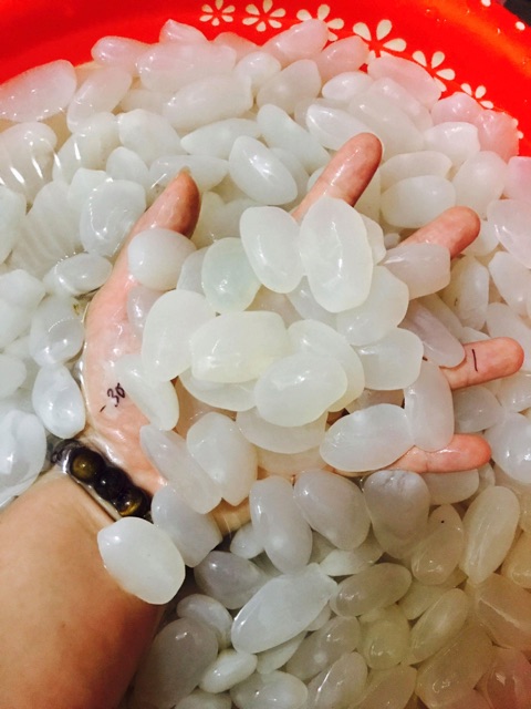 Hạt đác tươi 1kg.10kg giảm giá