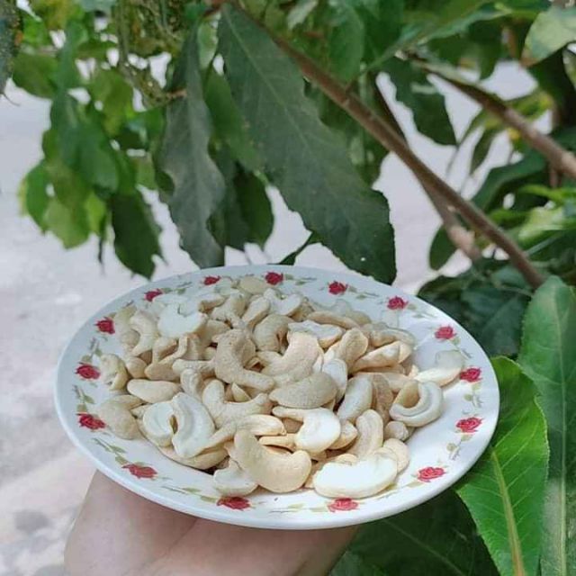 Hạt điều bể bình phước