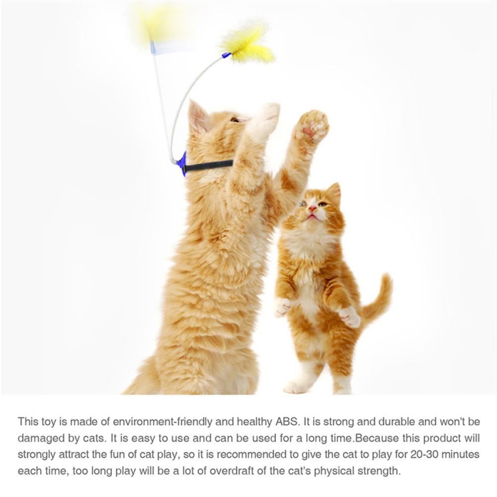 Gậy Trêu Mèo Nhiều Màu Sắc Vui Nhộn B2K2