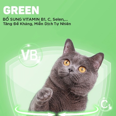 Vitamin cho chó mèo GREEN Pet-Plus 35g Từ AMITAVET giúp thú cưng tăng đề kháng bổ xung vitamin ăn ngon phát triển tốt