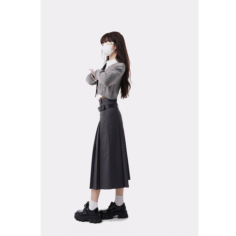 Chân Váy Chữ a Dáng Dài Xếp Ly Lưng Cao Thời Trang Mùa Thu Cho Nữ