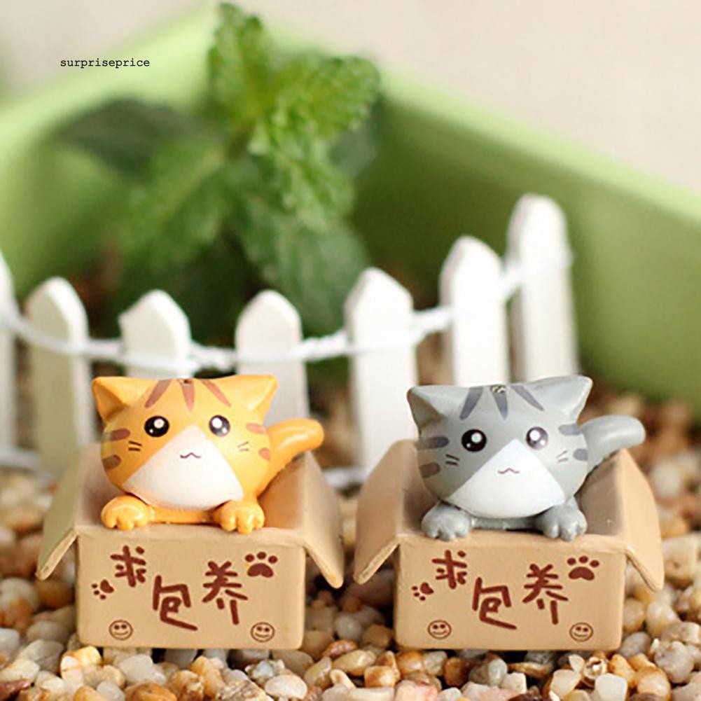 Mô hình hộp và chú mèo mini dễ thương trang trí vườn