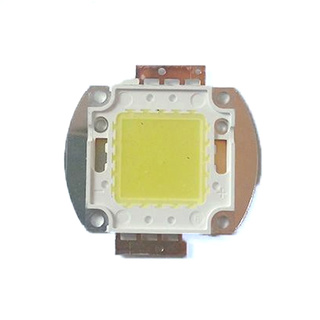 Nhân led 12v 20w