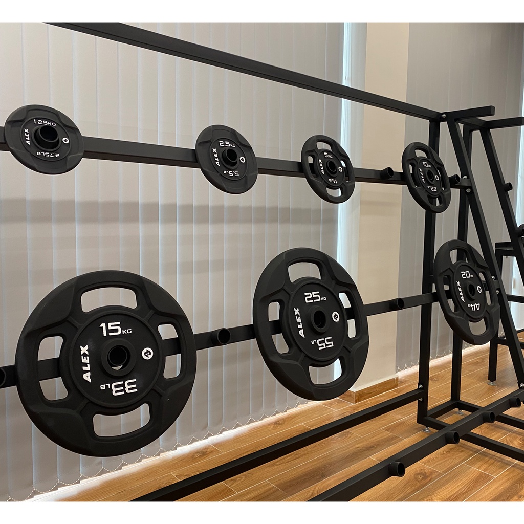Bộ 2 Tạ Đĩa 10kg 4 Lỗ Phi 50 ALEX Màu Đen Cao Cấp, Gang Nguyên Khối Sơn Tĩnh Điện Tập Gym
