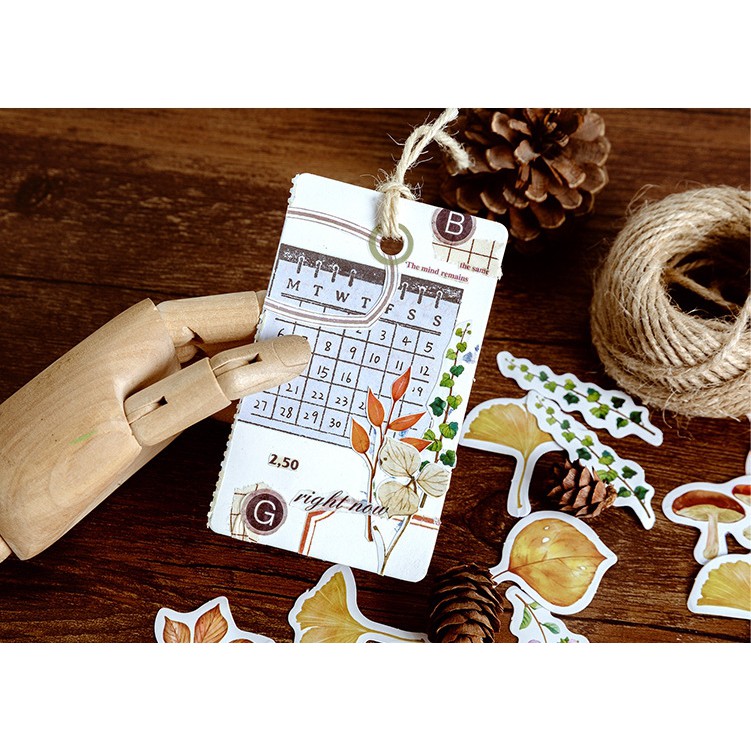 Hộp 46 miếng sticker mẫu lá phong và mùa thu