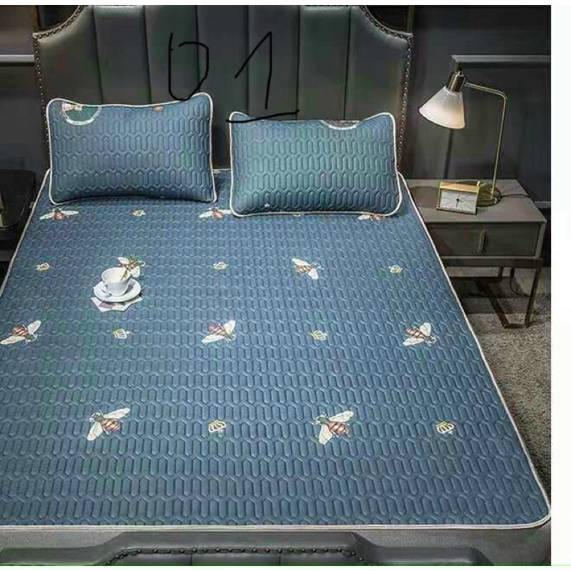 Chiếu điều hoà