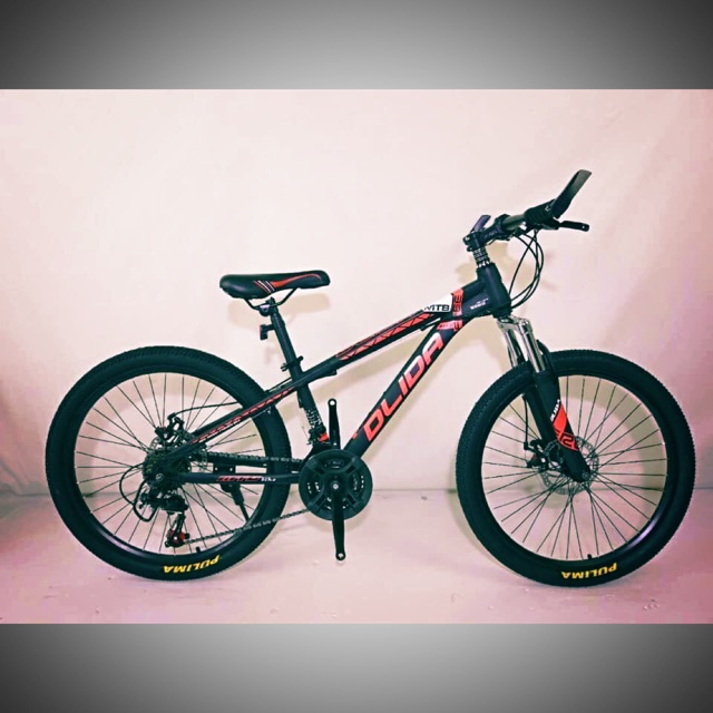 Xe đạp thể thao