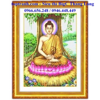 Tranh thêu chữ thập phật thích ca mâu ni 333021 38x48 cm chưa thêu, thêu kín