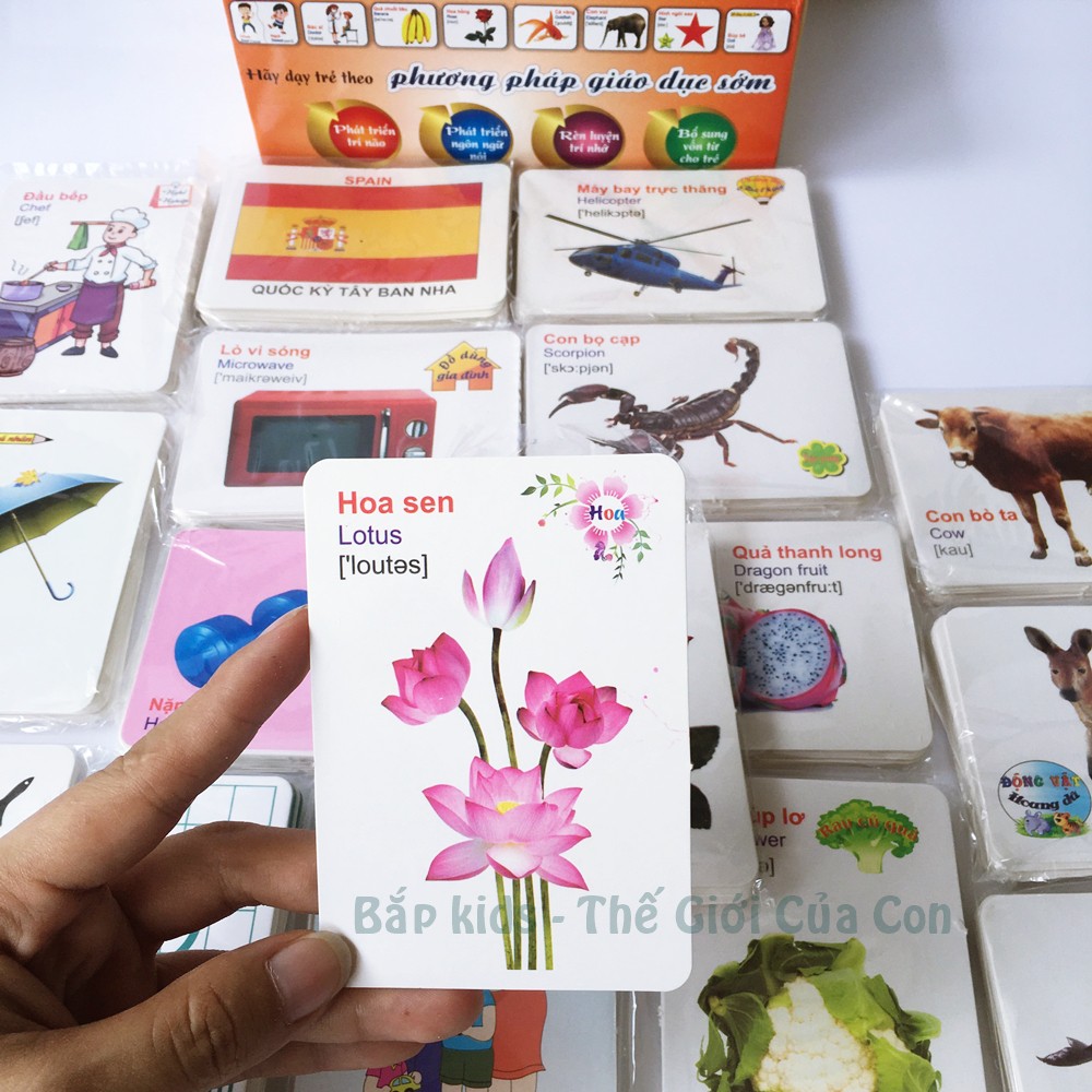 Flash Card Thẻ Học Thông Minh Cho Bé 10*7cm Thế Giới Xung Quanh 416 Thẻ