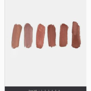 Son Amuse matte liquid lipstick