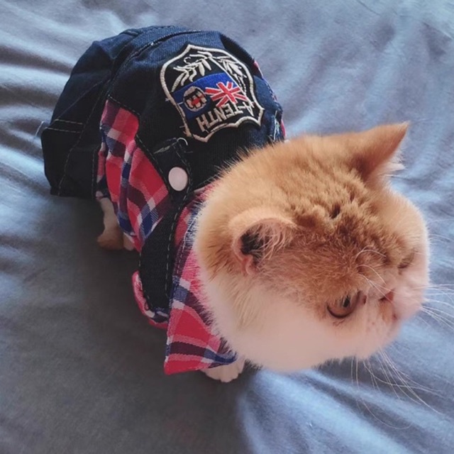 Quần áo thú cưng - quần yếm jeans dạng liền phối áo sọc caro phong cách năng động xì tin cho chó mèo