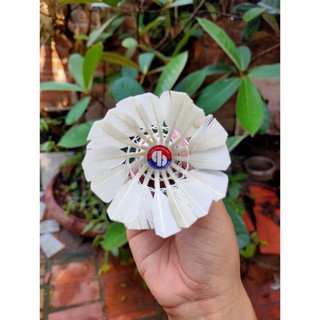 CẦU Lông BA SAO