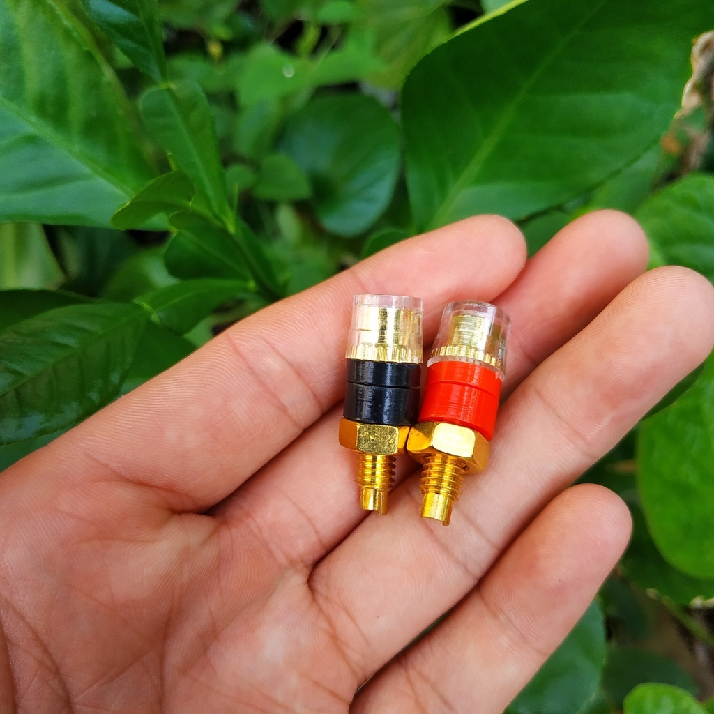 ✅  ⚡ Jack Bắp Chuối Mạ Vàng  4mm