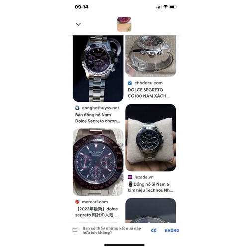 Đồng hồ Nam hàng Nhật si - hiệu Dolce Segreto